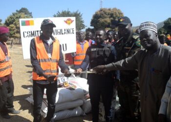 comités de vigilance de Mokolo