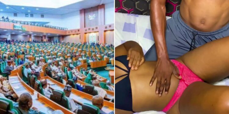 Le parlement nigérian ne veut plus des sites internet de pornographie