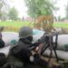 Insécurité Grandissante à l'Extrême-Nord : Boko Haram en Préparation d'Attaques Dévastatrices