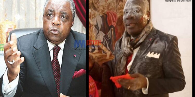 Cameroon government spokesperson condemns attack on Minister