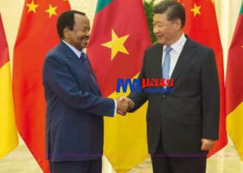 Le Cameroun veut accorder une exonération fiscale aux travailleurs chinois