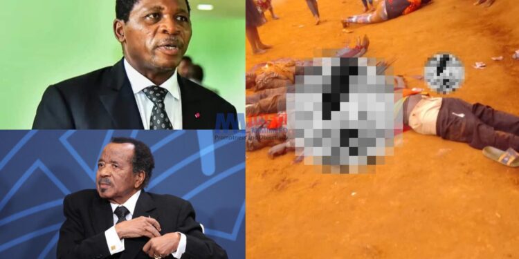 Pinyin massacre has received little comment from the Cameroonian authorities