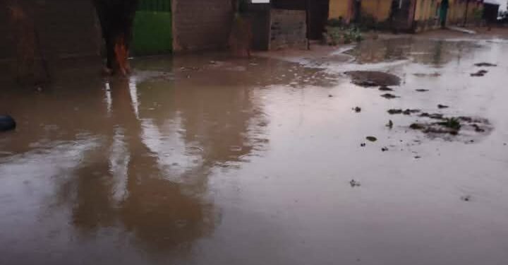Pitoa : Premières pluies bienfaitrices… mais dévastatrices pour certains