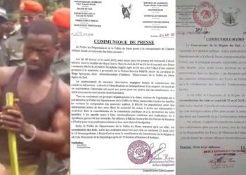 un suspect interpellé après une série de meurtres à la machette à Meyo-centre