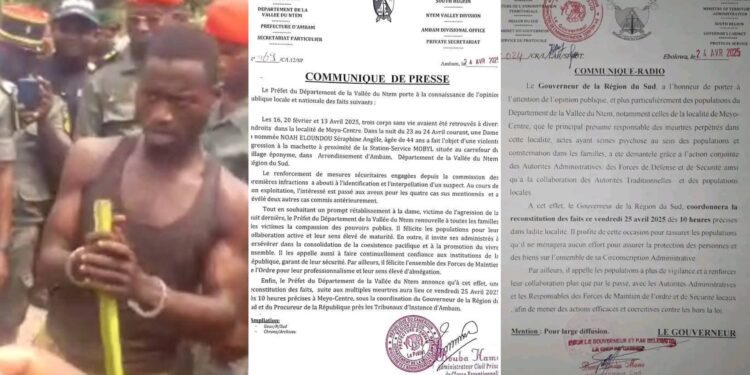 un suspect interpellé après une série de meurtres à la machette à Meyo-centre