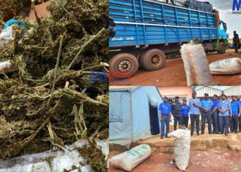 Beer truck transporting drugs bursted