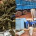 Beer truck transporting drugs bursted
