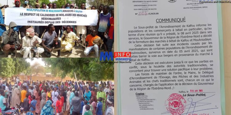 Cattle Markets Shut Down in Kalfou and Moulvoudaye Following Tensions Over Grazing Land Disputes