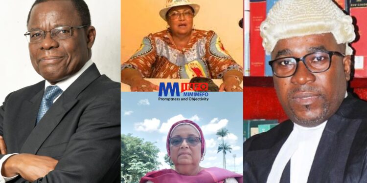 Criticisms following Biya Appointment of Monique Ouli Ndongo