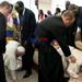 Pope Francis advocated for peace in Africa