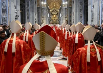 Cardinals at St. Peter's Bassilica Today