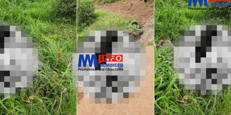 Two bodies found in Nkwen Bamenda