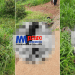 Two bodies found in Nkwen Bamenda