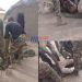 Zigué Military Camp Attacked by Boko Haram