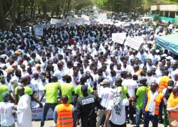 Paul Biya Youth Rally in Maroua Faces Backlash Over Lack of Support