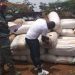 La douane camerounaise a saisi 45 kg de cannabis à la frontière avec le Nigeria
