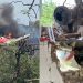 Air India flight to London crashes