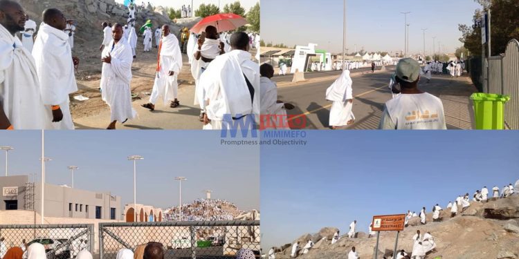 Cameroon Hajj 2025 pilgrims