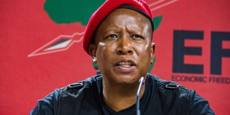 Leader of the Economic Freedom Fighter (EFF) party in Souith Africa.