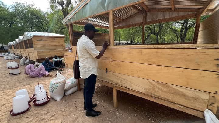 Government Strengthens Livestock Sector in Diamaré
