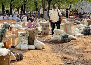 Government Strengthens Livestock Sector in Diamaré