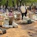 Government Strengthens Livestock Sector in Diamaré