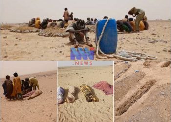 Tragédie à la frontière algérienne : dix ressortissants tchadiens tués dans un site minier
