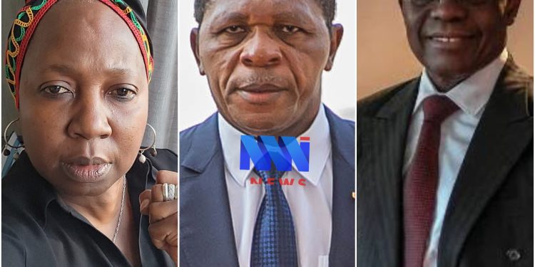 Stand Up For Cameroon dénonce un processus électoral “verrouillé” et un acharnement contre Maurice Kamto