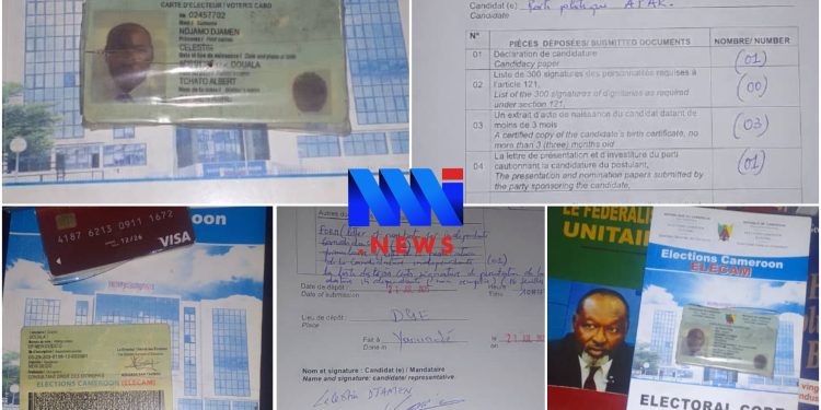 Njamen challenges ELECAM process with evidence