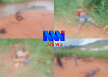 Suspected Separatists killed in Bamenda