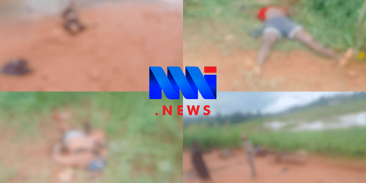 Suspected Separatists killed in Bamenda