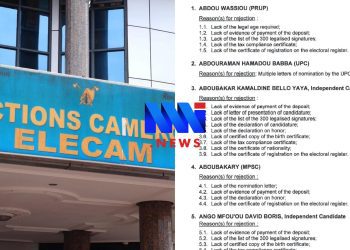 ELECTIons Cameroon Rejection reasons