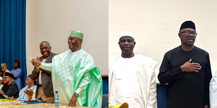 Atiku Abubakar, Peter Obi form coalition in Nigeria