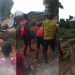 Zamaï, Cameroon: Fallen Tree Mysteriously Rises on Busy Road