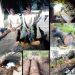 Niger Delta oil theft