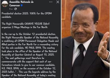 Le RDPC utilise la page de l’Assemblée nationale pour la campagne du candidat Paul Biya