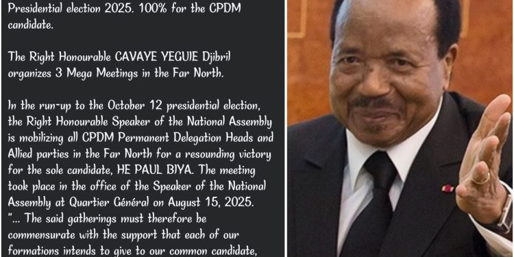 Le RDPC utilise la page de l’Assemblée nationale pour la campagne du candidat Paul Biya