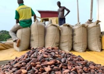 Nigeria est le premier acheteur africain du cacao camerounais.