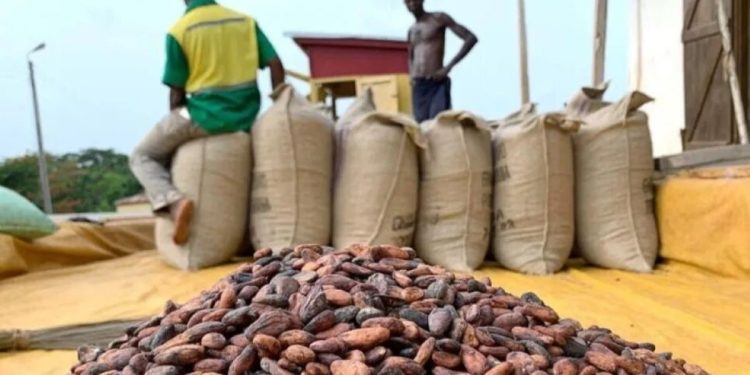Nigeria est le premier acheteur africain du cacao camerounais.