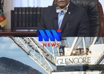 Akere Muna on Glencore