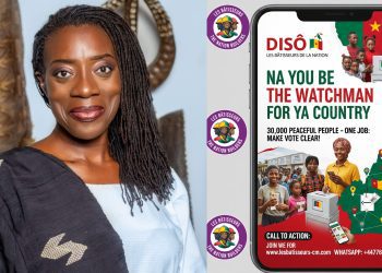 Disô, a citizen-led initiative in Cameroon