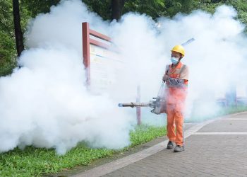 chikungunya Virus