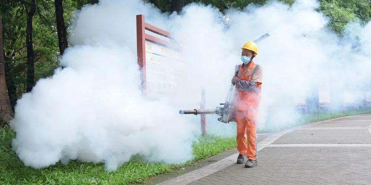 chikungunya Virus