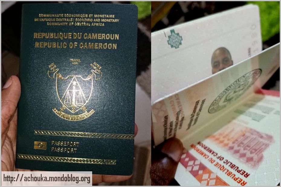 Passeport camerounais