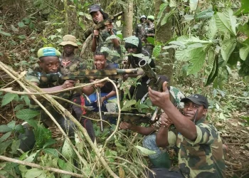 Ambazonia fighters... new