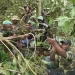Ambazonia fighters... new