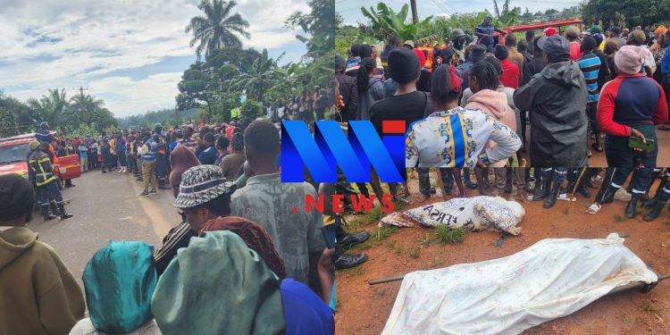 Army rescue Bamenda