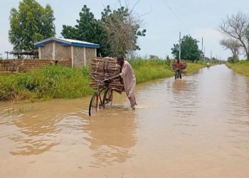 Severe floods in Dargala, Cameroon, disrupt the 2025 school year