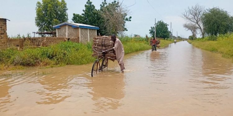 Severe floods in Dargala, Cameroon, disrupt the 2025 school year