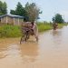 Severe floods in Dargala, Cameroon, disrupt the 2025 school year
